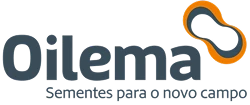 S-Parceiros - MentalME - LP01 - W,D,N - Icone 04 - v2